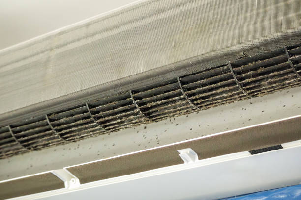 Best Affordable Duct Cleaning Services  in Mayville, ND